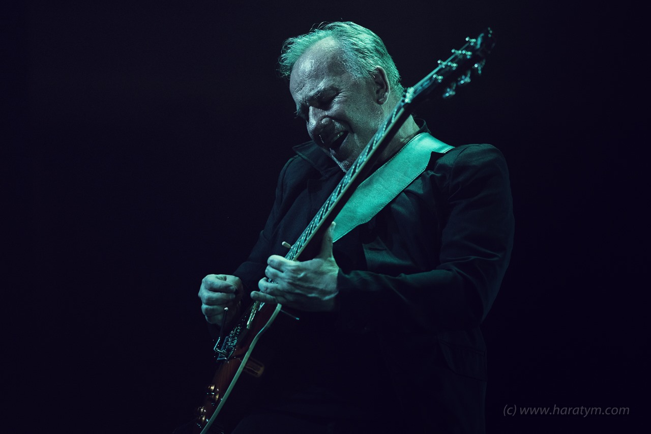 Mirek Gil